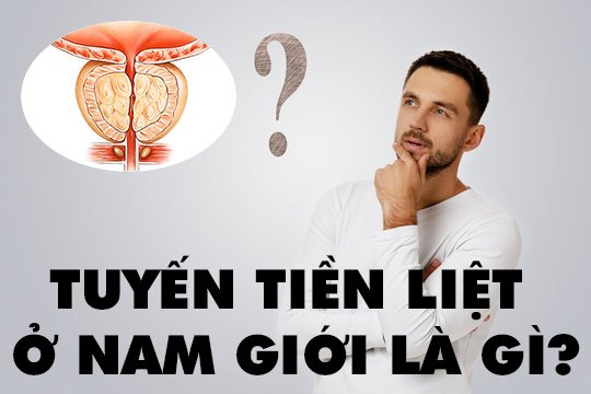 Tuyến tiền liệt ở nam giới là gì?